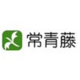 SEO综合查询工具有哪些功能
