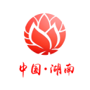 SEO优化排名挣钱：从基础到成功的全程指南