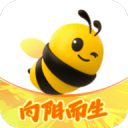 提升网站流量，掌握SEO秘诀：打造高效的搜索引擎优化策略