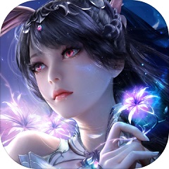网站排名SEO公司有哪些：深度揭秘与选择指南