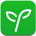 海外SEO优化：打造全球网站流量与品牌影响力