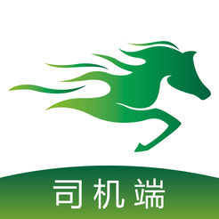 泉州SEO排名代理:助力您的网站蜕变为互联网巨头