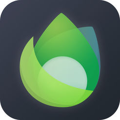 免费网站建设SEO：打造高效的网站让您的业务腾飞