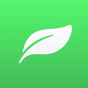 选择大型SEO公司，让您的网站在搜索引擎中脱颖而出