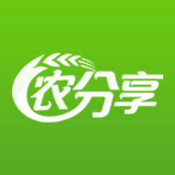 怎么做SEO优化：提升网站流量的实用指南