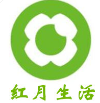 如何通过SEO排名实现盈利：深度解析与实用指南