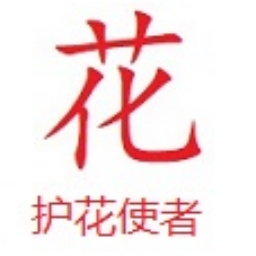 深入探讨SEO查询站长之家的强大功能与优势