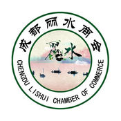 搭建网站SEO：掌握网站排名的核心策略