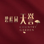 领先SEO培训网：助你轻松掌握SEO技能，提升网站排名