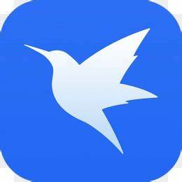 常德SEO公司排名：助力企业在网络世界中的辉煌崛起