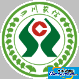 SEO网站诊断：揭秘成功网站的核心秘诀