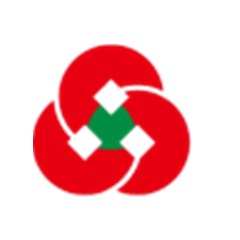 湖北SEO排名详解：揭秘成功的秘诀