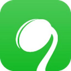SEO迈步者论坛:开启你的搜索引擎优化新篇章