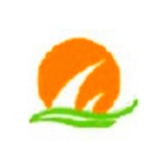 提升网站流量的专业优化公司SEO服务